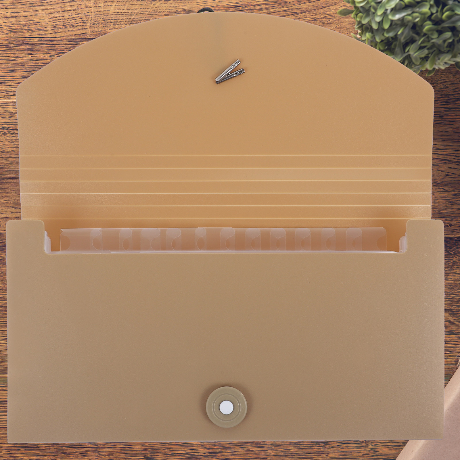 Папка-органайзер с 13 карманам – обзор и цена Expandable Accordion File Folder 13 Pockets